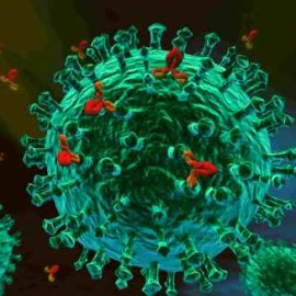 Kyle Smal | CD40 Ligand Immune Deficiency | Paul Veys
