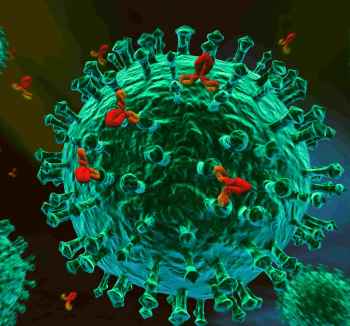Kyle Smal | CD40 Ligand Immune Deficiency | Paul Veys