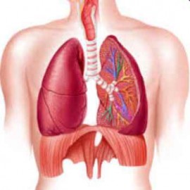 Leanne Pannell | Pulmonary Hypertension | Professor Sheila Haworth