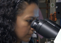 Studying Brain Samples