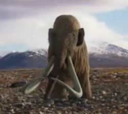 Woolly Mammoth