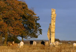 Abbey Ruins
