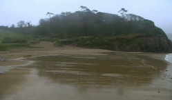 South Coast Beach