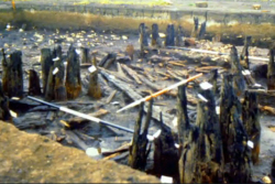 Causeway Remains