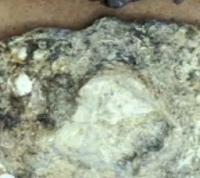 Solid Tin Ingot