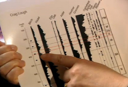 Petra's Pollen Charts