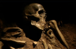 Skeleton