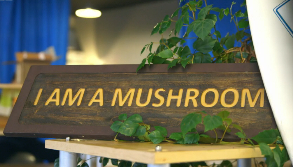 Magic of Mushrooms | Professor Richard Fortey