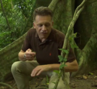 Chris Packam with Passion Flower Vine