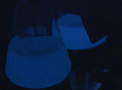Glowing Bacteria Flasks
