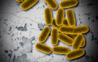 Defeating Superbugs | Bacteria gone Rogue