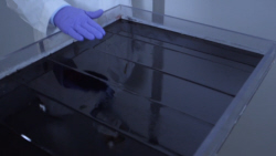 Bacterial Culture Morbidostat