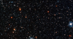 Tidy Universe