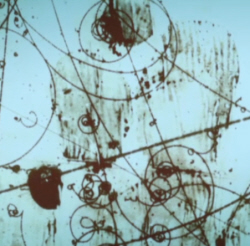 Fundamental Particles | A myth | Professor Andy Parker