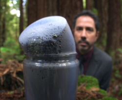 Anthony Aguirre Dark Energy Big Universe Invisible Force