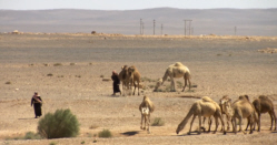 Barren, Desert Landscape