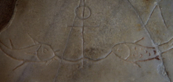 Ubiquitous Fish Symbol