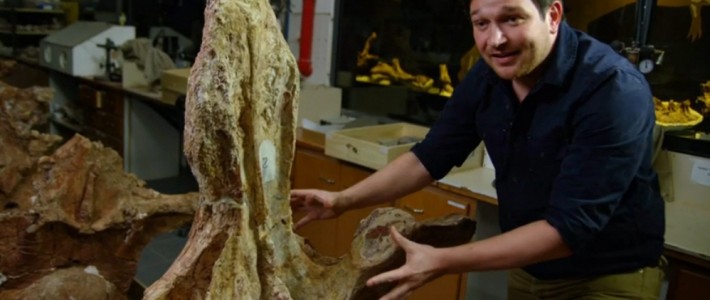 Reconstructing the Titanosaur Skeleton | Ben Garrod Reconstructing the Titanosaur Skeleton | Ben Garrod