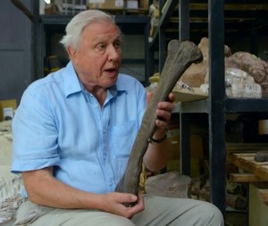 Big Thigh Bone