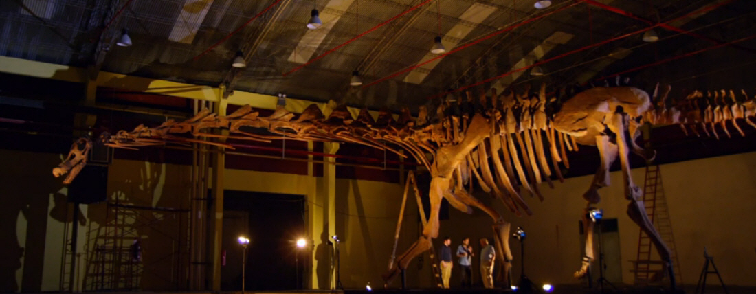 Reconstructing the Titanosaur skeleton