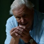David Attenborough with tiny tooth
