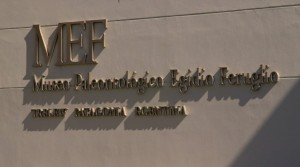 Museo Paleontologico