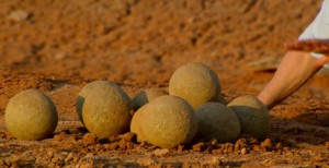 Replica Dinosaur Eggs