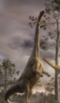 Argentinosaurus at full stretch