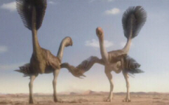 Gigantoraptor