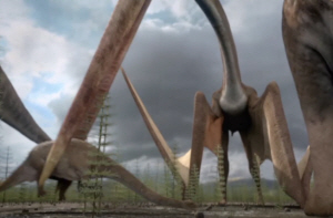 Hatzegopteryx
