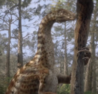 Nothronychus