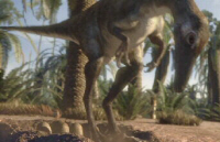 Sironithoides