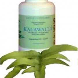 Kalawalla, Rapuani (Polypodium Leucotomos) for MS