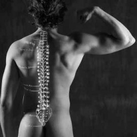 Myelin damage caused by Multiple Sclerosis reversible?