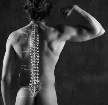 Is myelin damage caused by MS reversible?