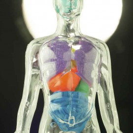 MS Symptoms in Detail A plethora of neurological dysfunctions