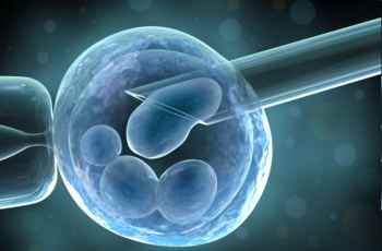 Stem Cell Treatment for MS – A False Hope?