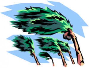 temperature sense reversal