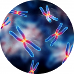 Genetics Molecule