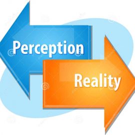 Reality Check is your Perception Fading