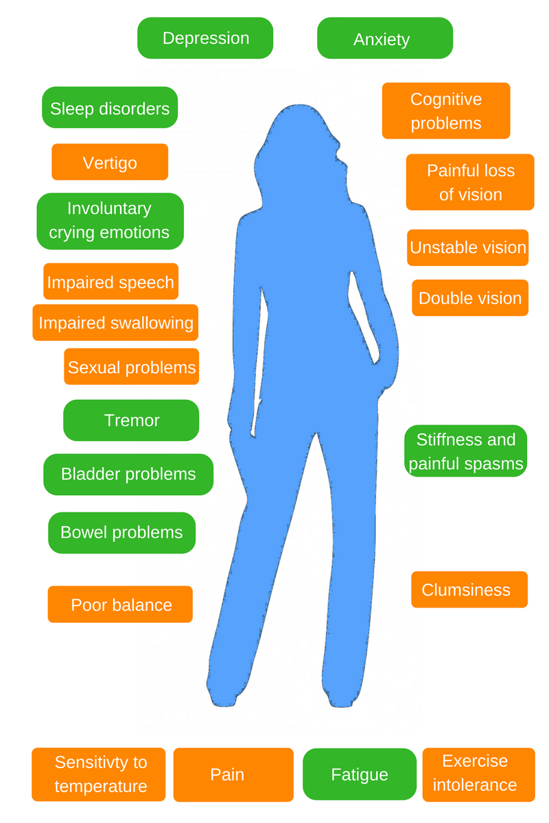 Brain Health Symptoms Temperature Pain Fatigue Vertigo Bowel Bladder Clumsiness Vision Cognitive
