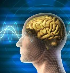 Effects of Cognition Loss in Multiple Sclerosis