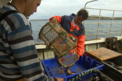 Crab Fishing