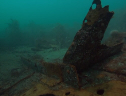 Sea-Floor Debris