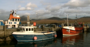 Fishing Boats
