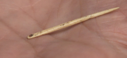 Clothing Tool