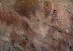 Cave Evidence
