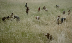 Landowner Serfs
