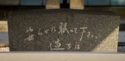 Evil Translation