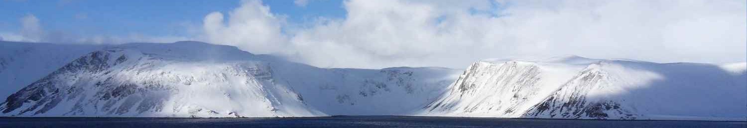 Frozen Planet